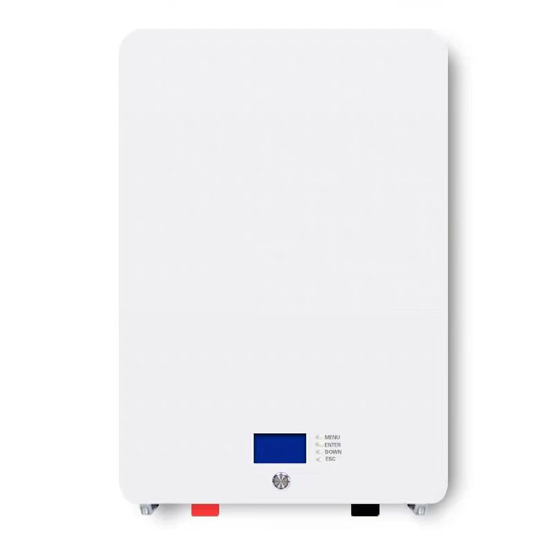 6000+Cycles 2KW 3KW 5KW Wall M - Cycling Gear Wall Storage review and price