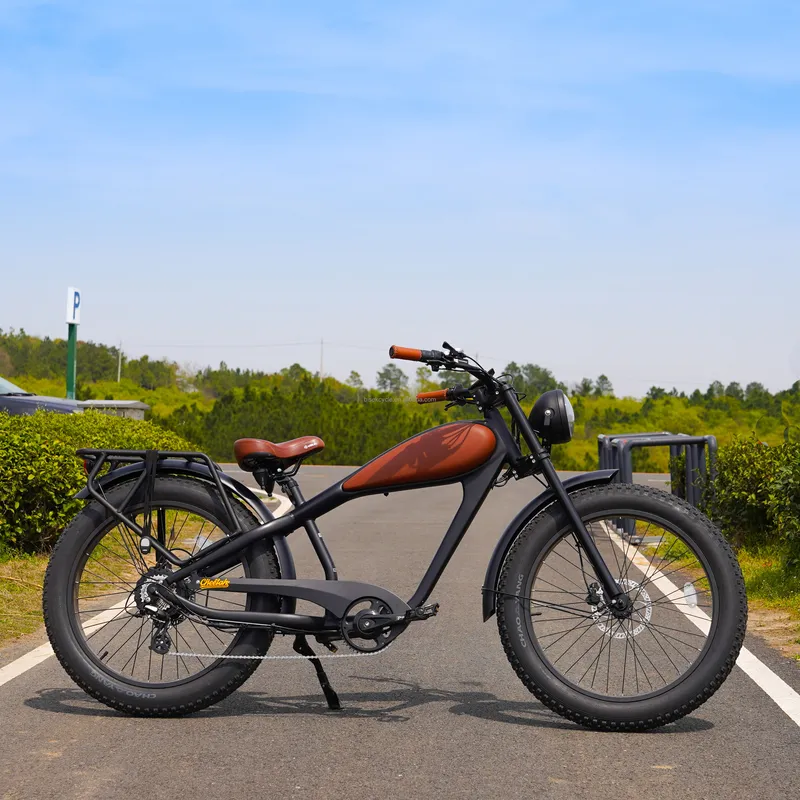 OEM 750W Hot Electric Vintage  - Road Bike Tire review and price