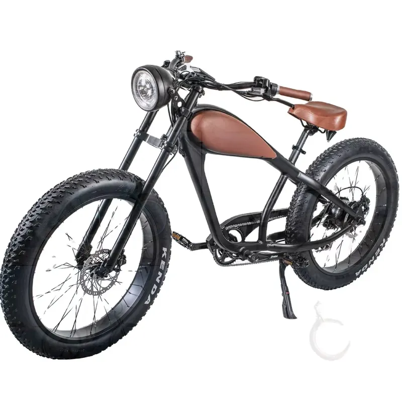 OEM 750W Hot Electric Vintage  - Road Bike Tire review and price