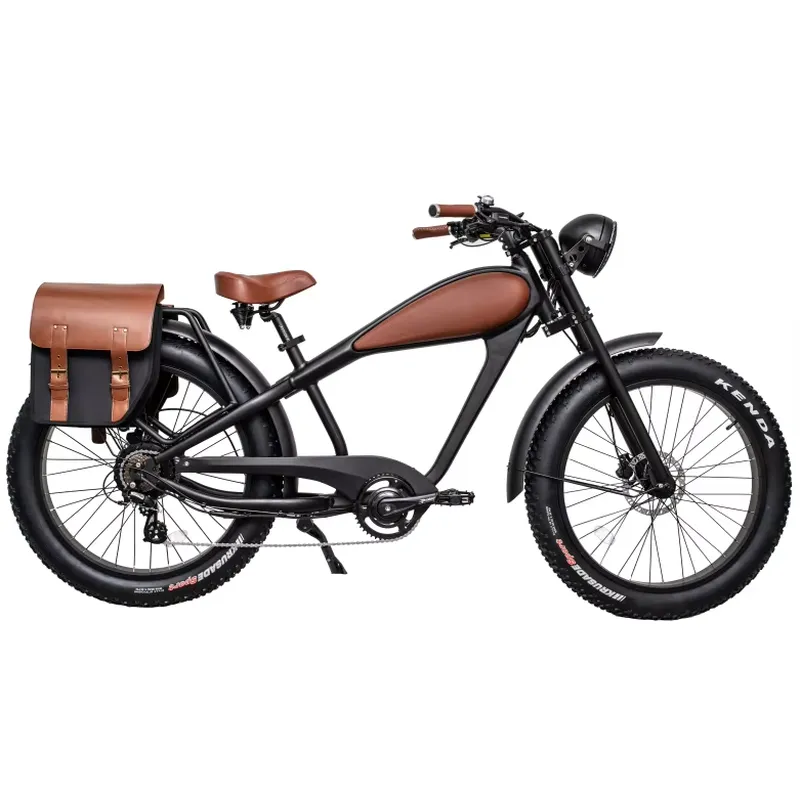 OEM 750W Hot Electric Vintage  - Road Bike Tire review and price